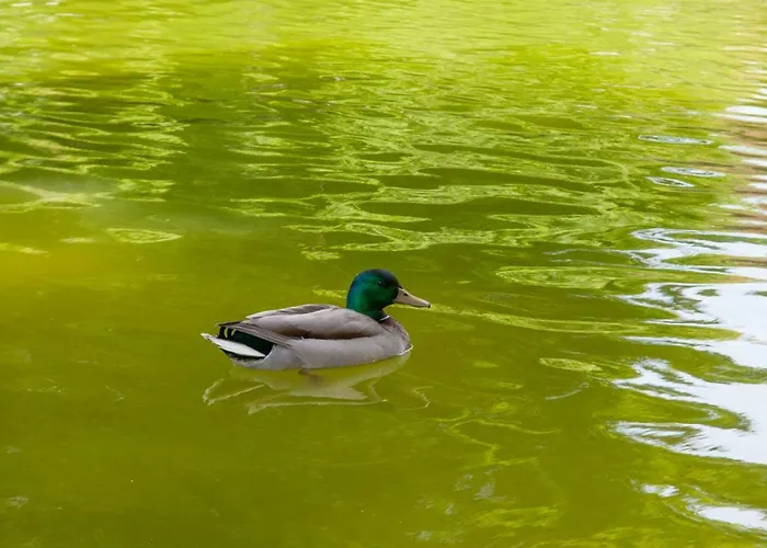 Διαμέρισμα Charming Centre