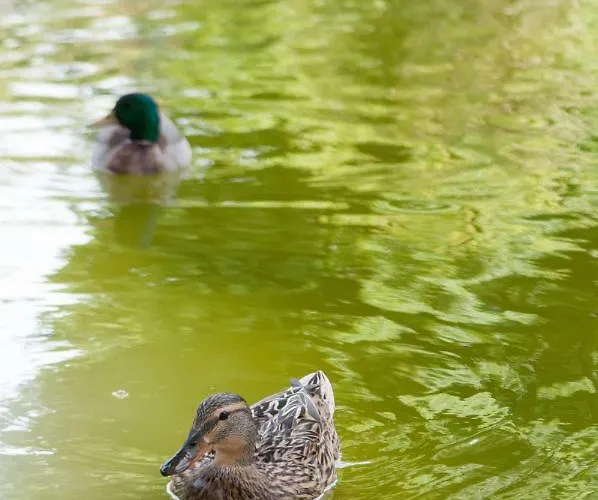 Charming Centre شقة Lisboa