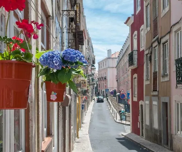 Charming Centre شقة *