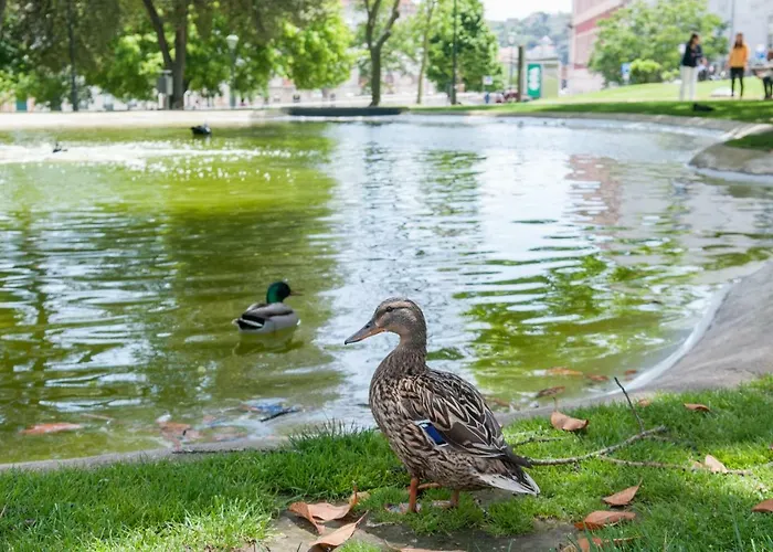 Charming Centre Διαμέρισμα Lisboa