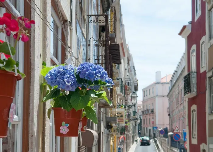 Charming Centre Διαμέρισμα *