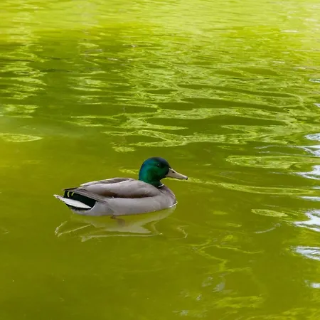 דירה Charming Centre