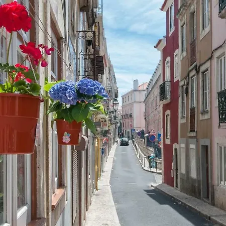 Charming Centre דירה *