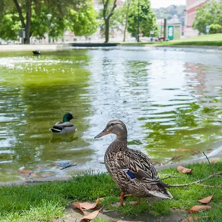 Charming Centre דירה ליסבון