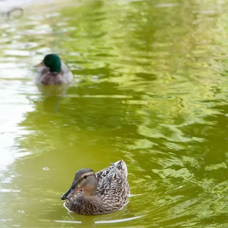 Charming Centre Apartment Lissabon